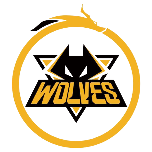 竞技状态 竞技状态